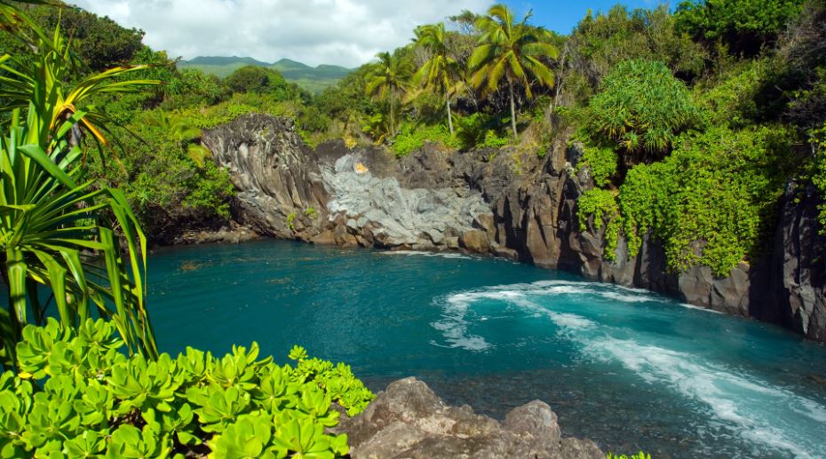 Maui (Estados Unidos) - Misswood