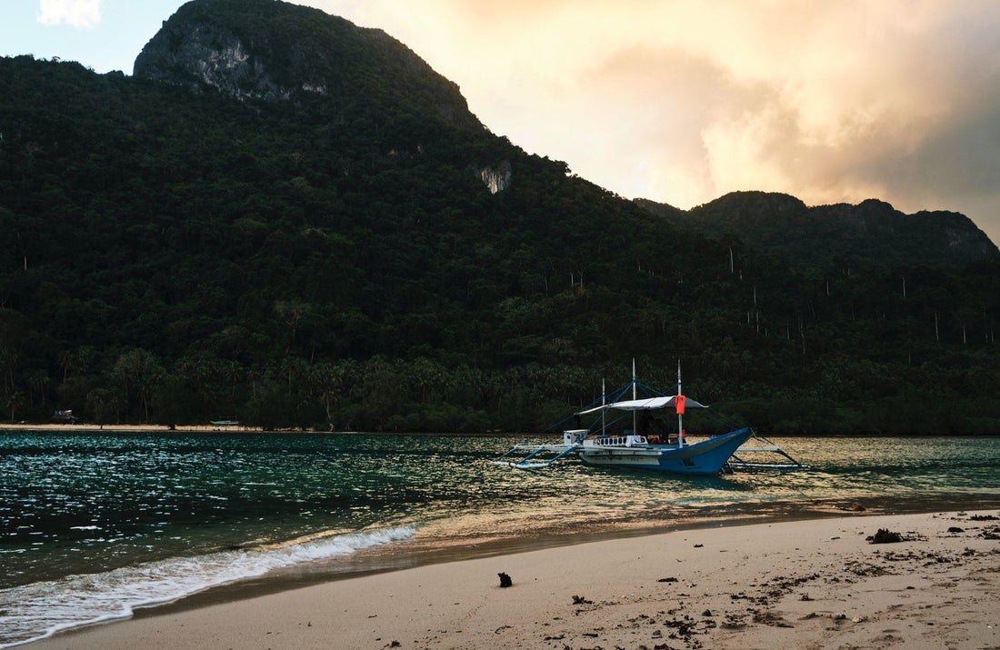 Palawan, un paraíso perdido - Misswood